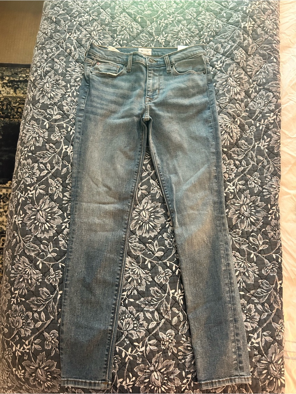 Hudson Jeans Women's Skinny in Faded Light Blue
